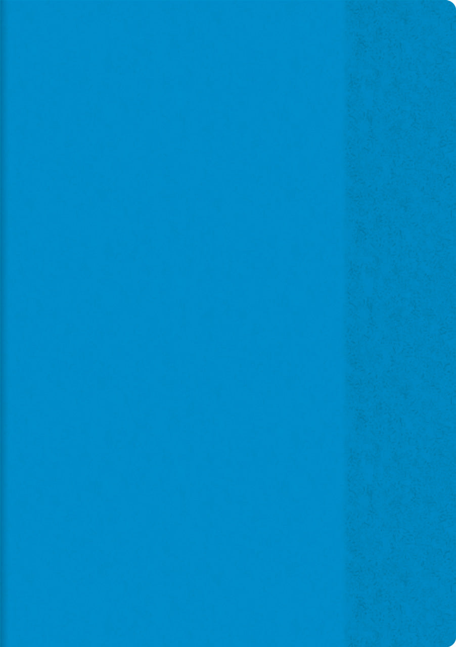 Brunnen-Hefthuelle-Heftumschlag-Din-A4-extrastark-PVC-blau-104054430-lafueliki