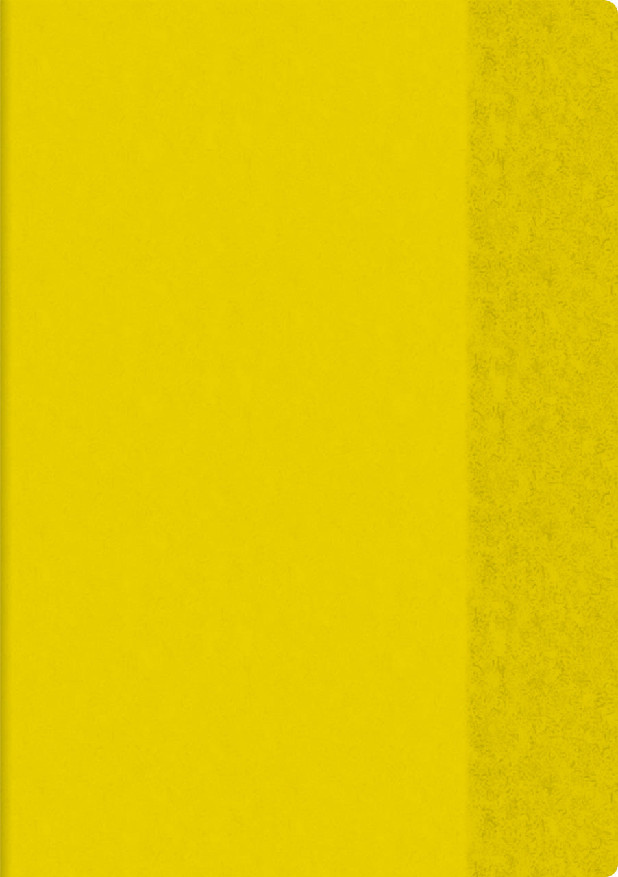 Brunnen-Hefthuelle-Heftumschlag-Din-A4-extrastark-PVC-gelb-104054410-lafueliki