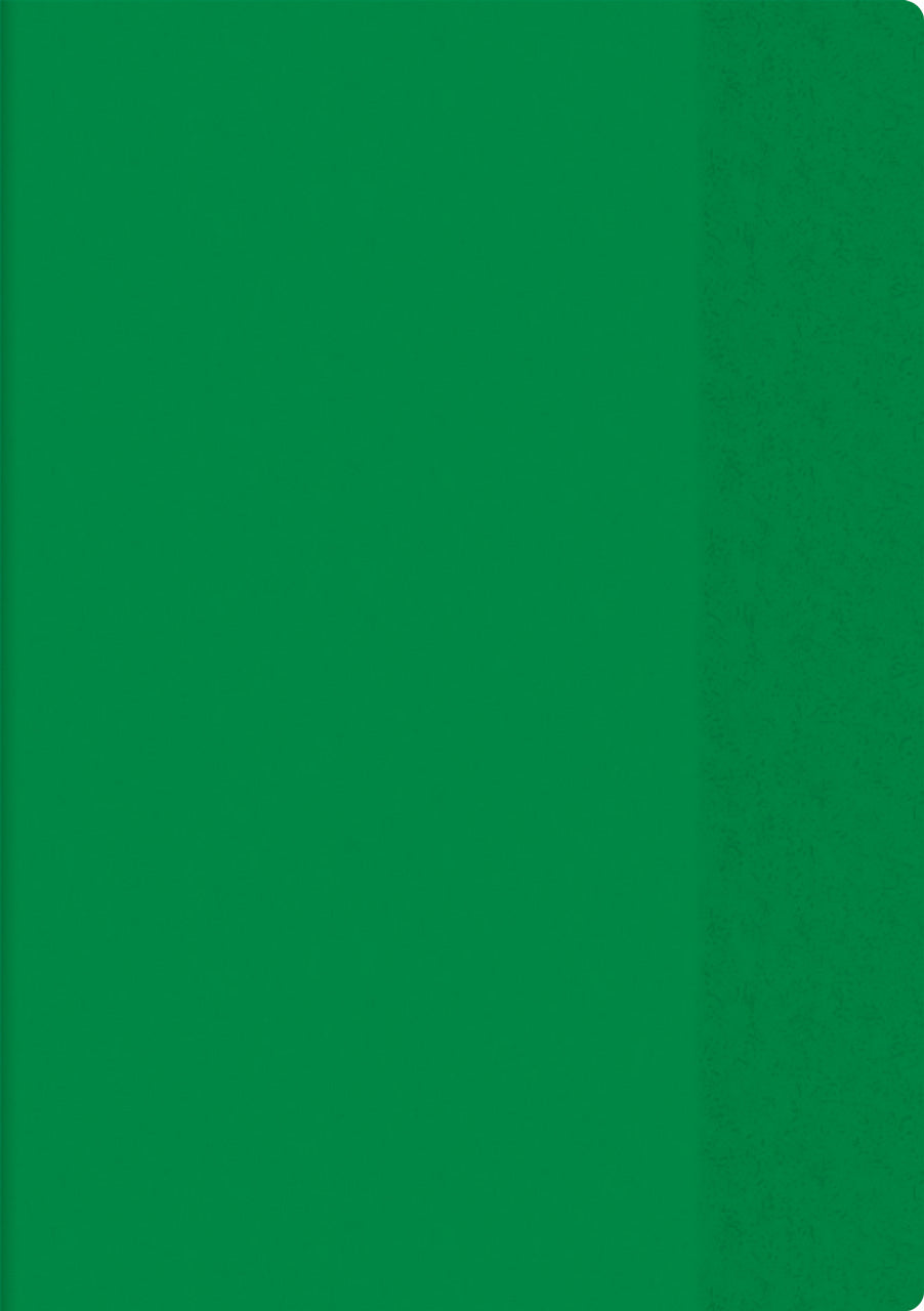 Brunnen-Hefthuelle-Heftumschlag-Din-A4-extrastark-PVC-gruen-104054450-lafueliki