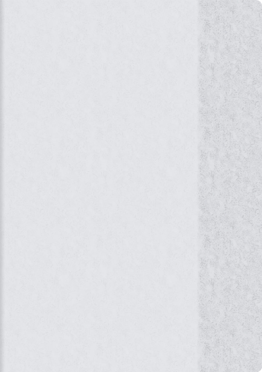 Brunnen-Hefthuelle-Heftumschlag-Din-A4-extrastark-PVC-transparent-klar-104054499-lafueliki