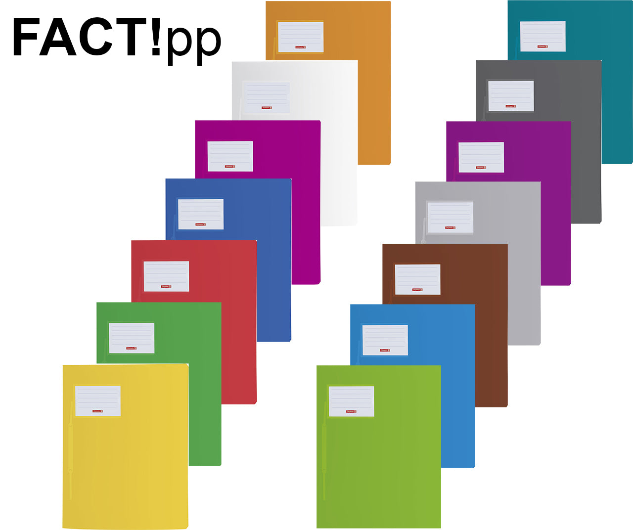 Brunnen Schnellhefter FACT!pp