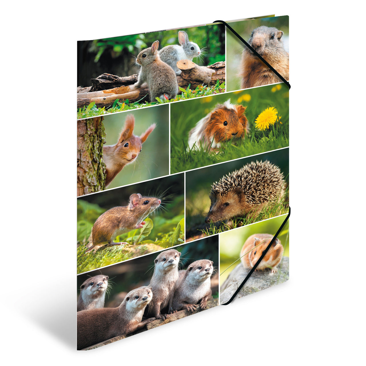 Herma-Sammelmappe-A3-Pappe-Nagetiere-19453-lafueliki