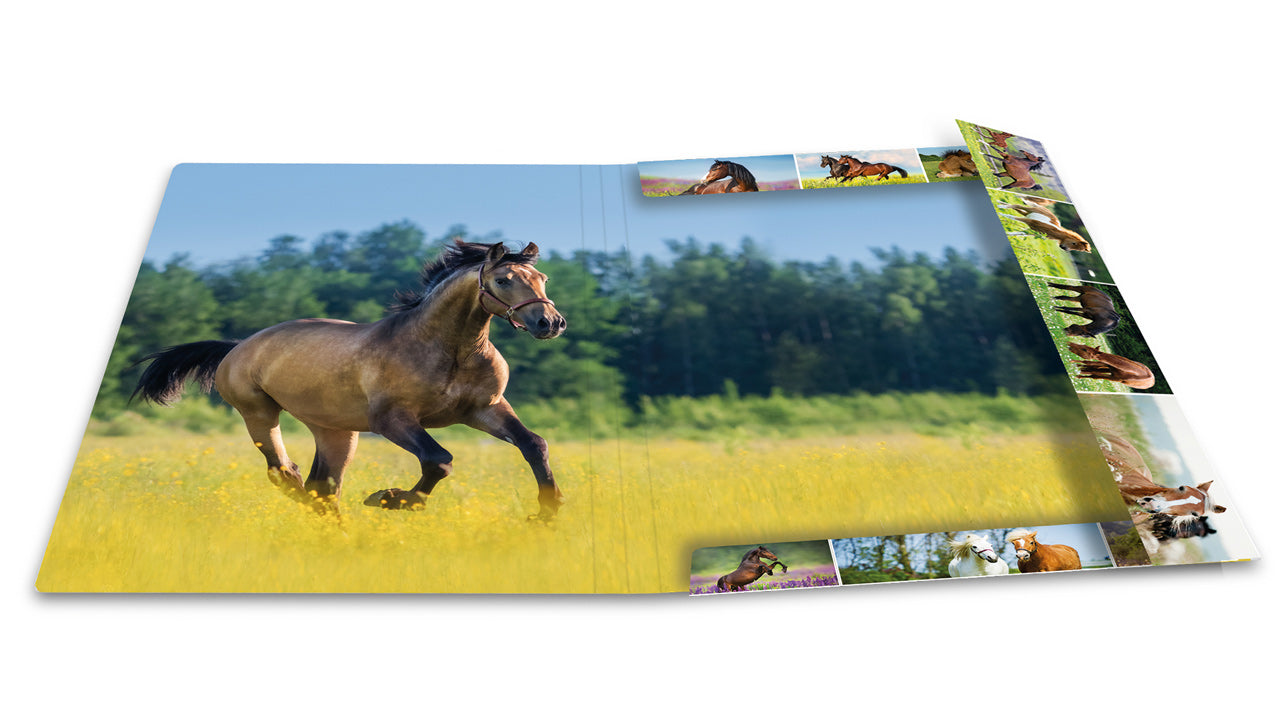 Herma-Sammelmappe-A3-Pappe-Pferd-ansicht-innen-19452-lafueliki