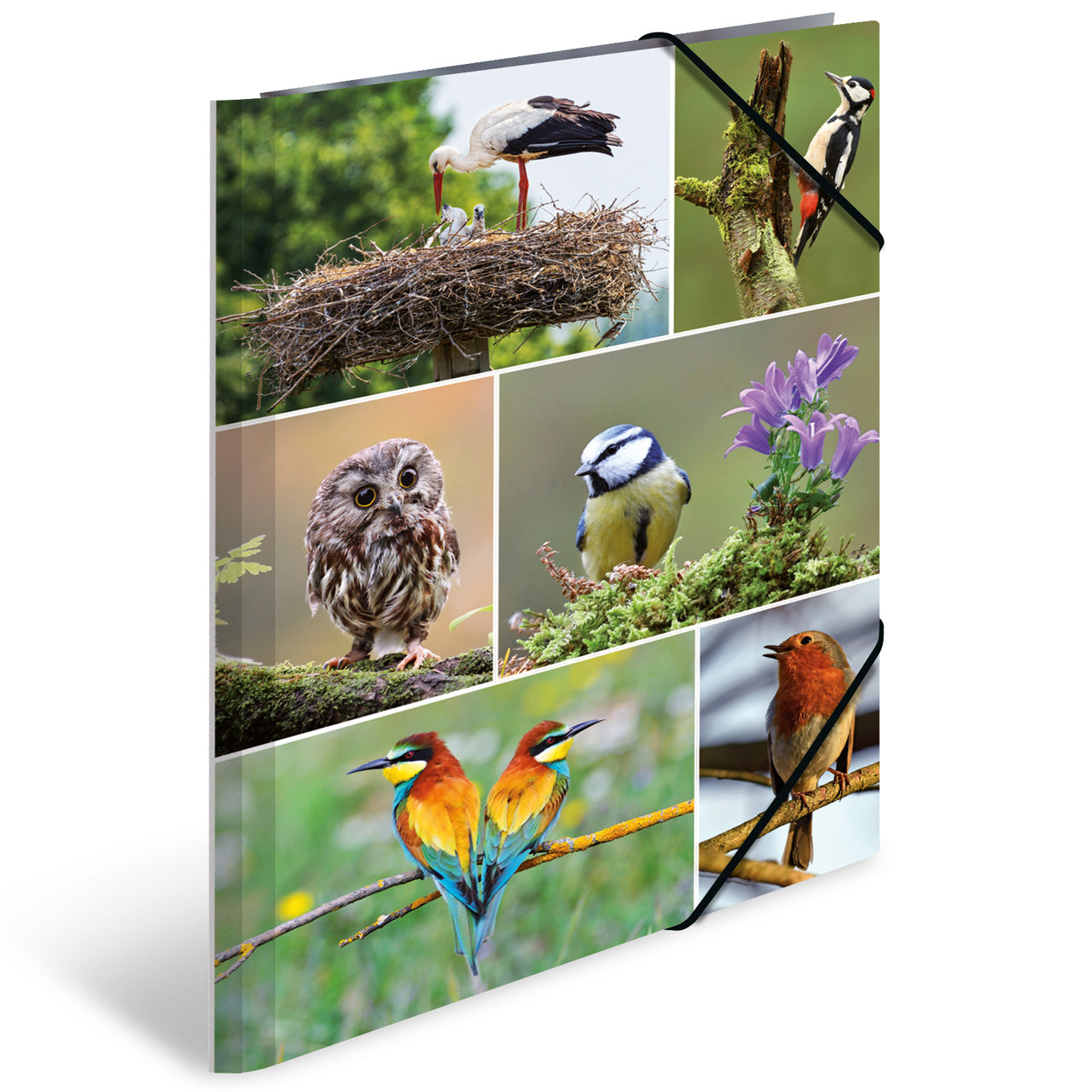 Herma-Sammelmappe-A3-Pappe-Vogel-19455-lafueliki