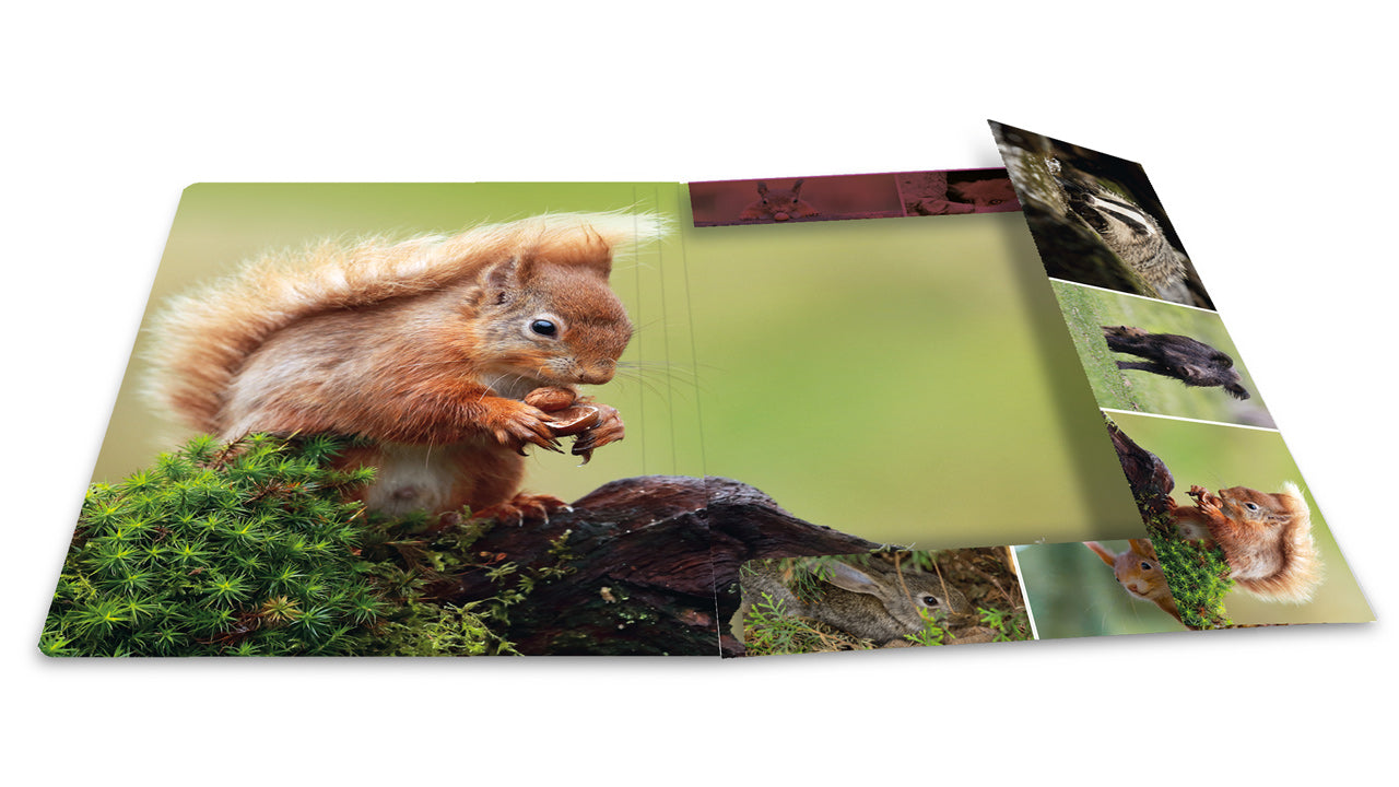 Herma-Sammelmappe-A3-Pappe-Waldtiere-ansicht-innen-19451-lafueliki