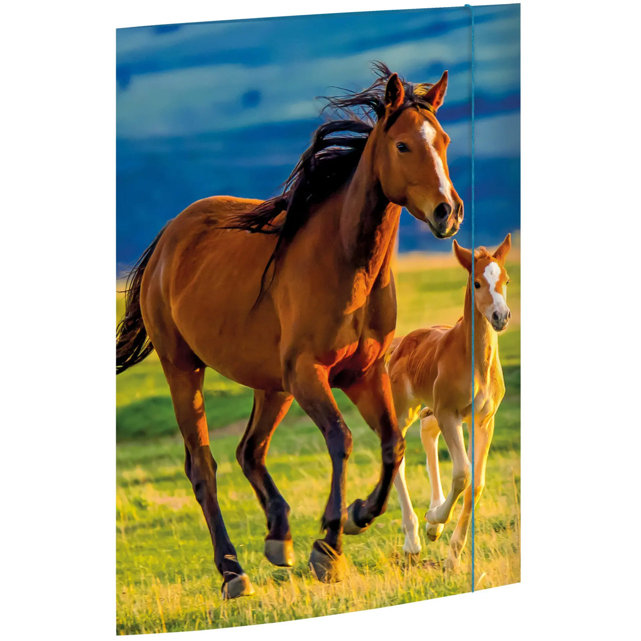 Sammelmappe-Zeichenmappe-A3-Karton-Motiv-Pferd-Maedchen-45353-RNK-Verlag-lafueliki