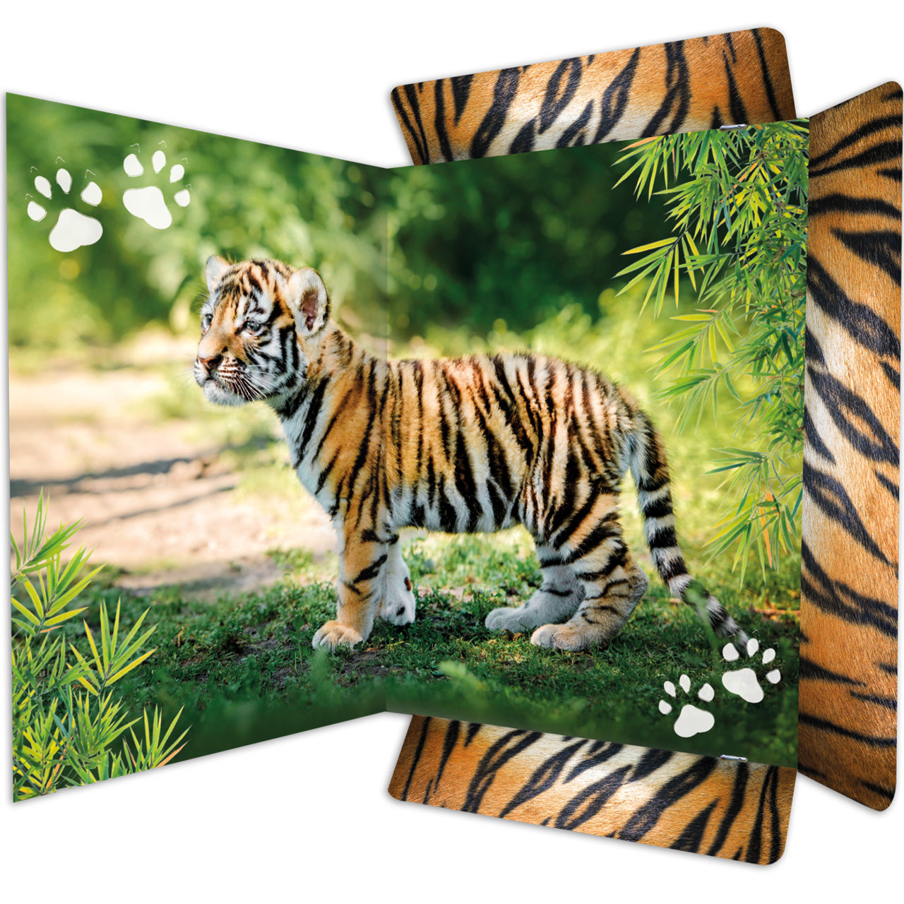 Sammelmappe-Zeichenmappe-A3-Karton-Motiv-Tiger-45367-anicht-offen-RNK-Verlag-lafueliki