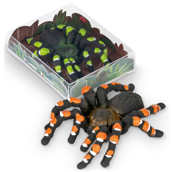 Trendhaus Vogelspinne - Zoo Radierer